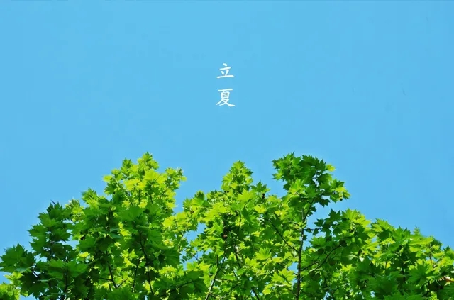 立夏時節(jié)