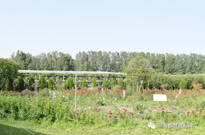 都贊城玫瑰莊園燒烤