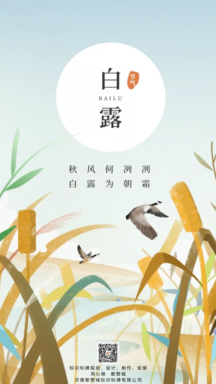 白露節氣手機海報