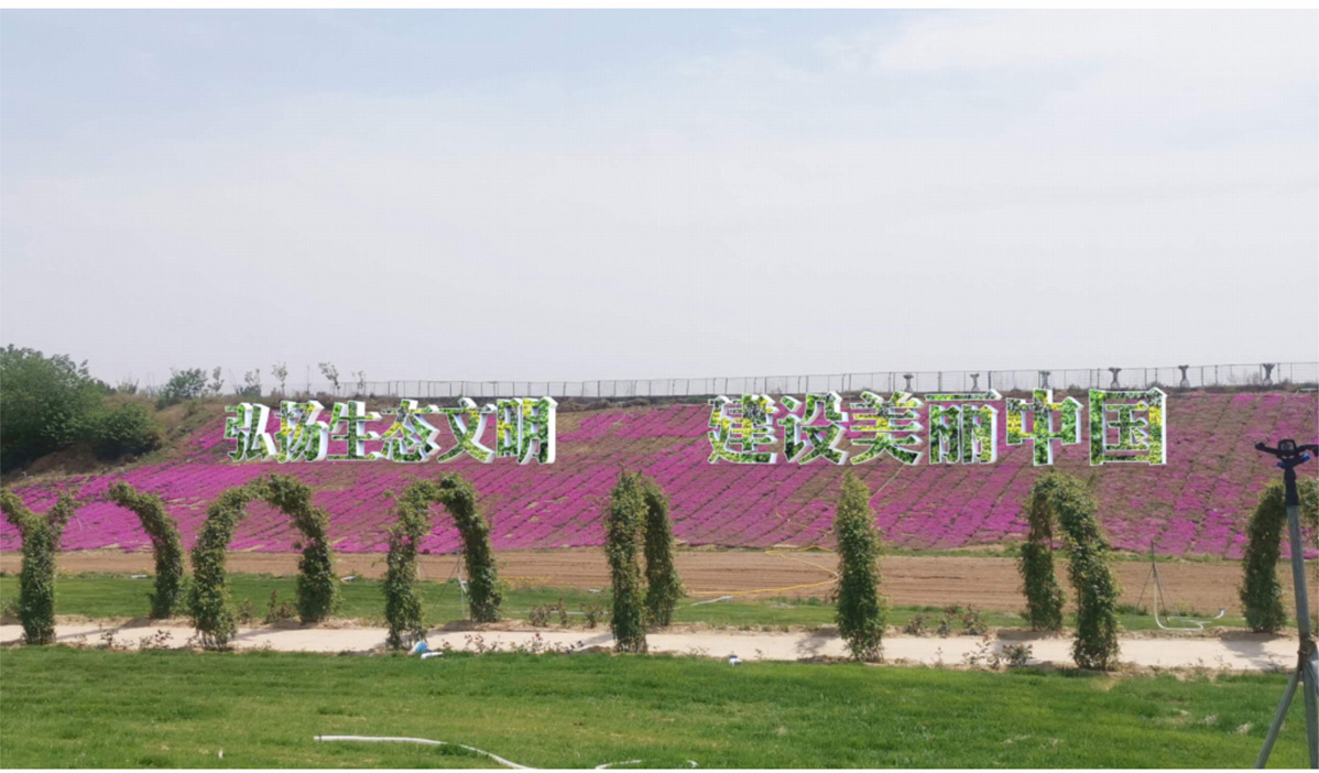 滎陽市孤柏渡櫻花園黨建文化建設標識標牌設計方案